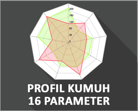 Profil Kumuh 16